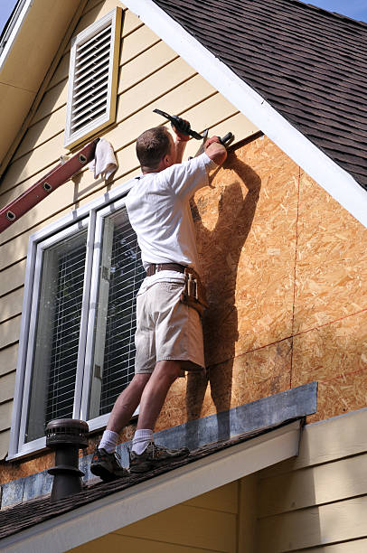 Best Siding Painting and Refinishing  in Detroit Beach, MI